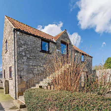 Goldfinch Newton-on-Rawcliffe